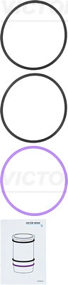Gasket Set, cylinder liner